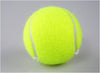 Professional Standard Tennis Sports Training Balls