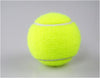 Professional Standard Tennis Sports Training Balls